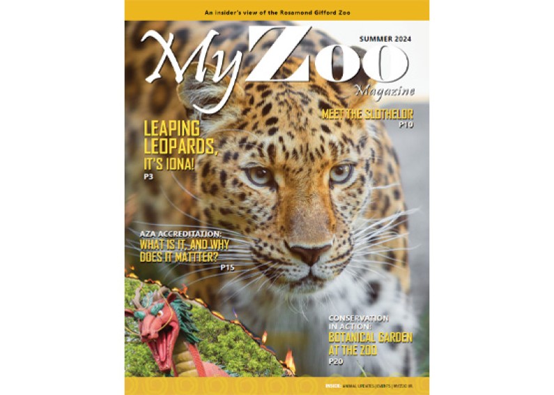 MyZoo Summer 2024 Cover
