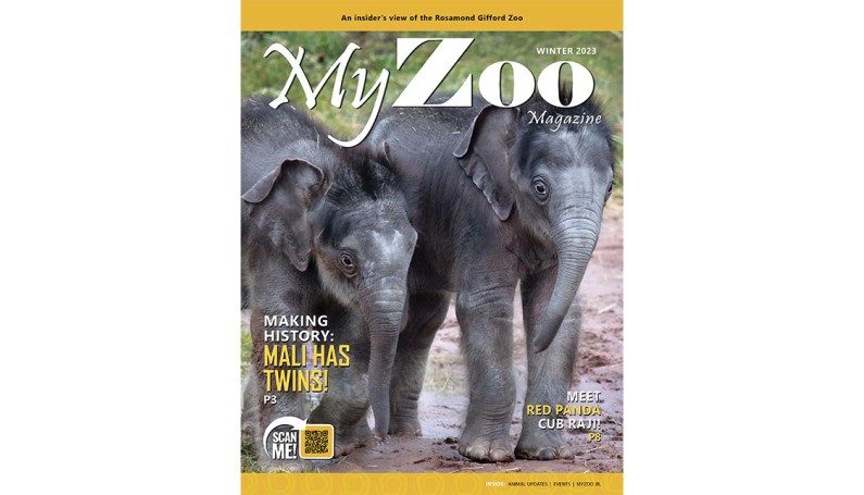 Syracuse Zoo FOTZ RGZ MyZoo Magazine Winter 2023 Cover