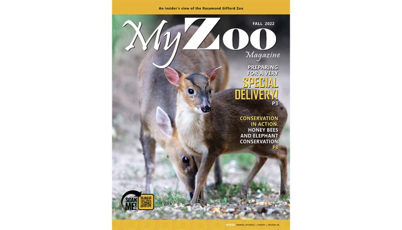 Syracuse Zoo RGZ MyZoo Magazine Fall 2022 Cover