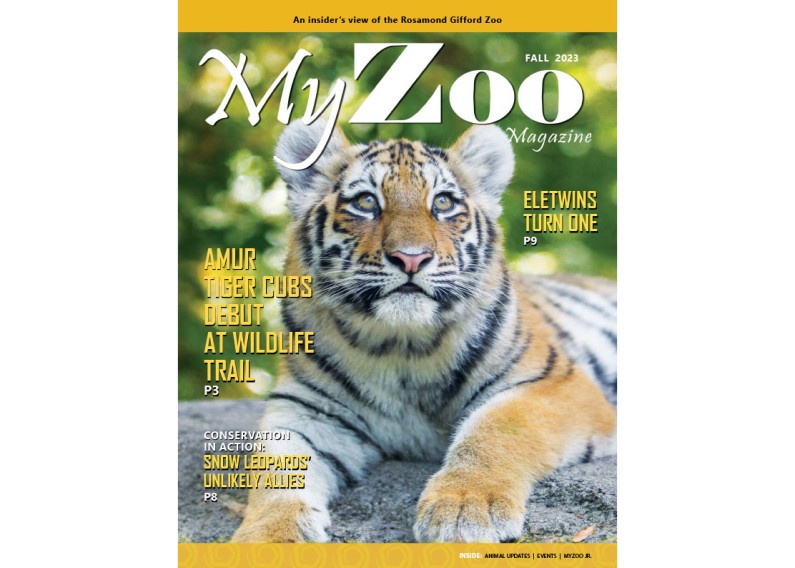 Syracuse Zoo RGZ MyZoo Magazine Fall 2023 Cover