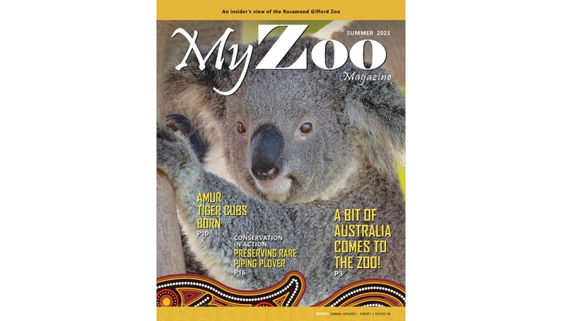 Syracuse Zoo RGZ MyZoo Magazine Summer 2023 Cover v2