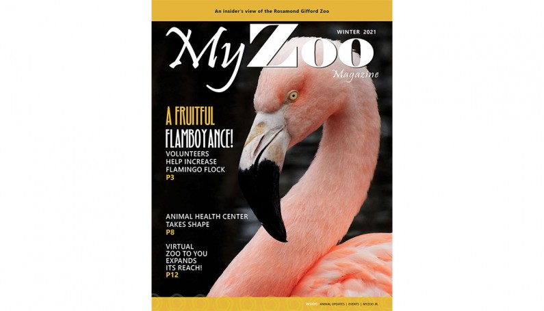 Syracuse Zoo RGZ MyZoo Magazine Winter 2021 Cover v2