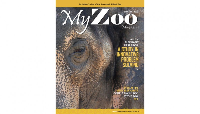 Syracuse Zoo RGZ MyZoo Magazine Winter 2022 Cover