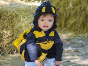 Zoo Boo