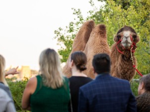 Fall Conservation Bash