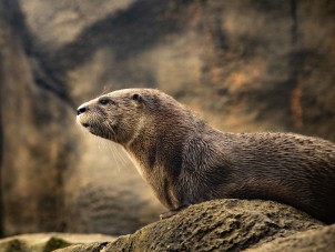 Fall 2025 Third Place - Joey Hanson