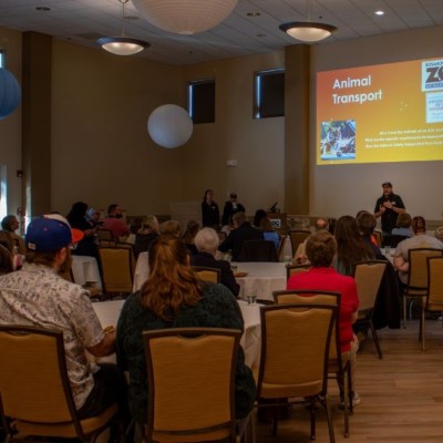 Conference