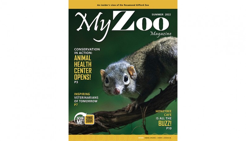 Syracuse Zoo RGZ MyZoo Magazine Summer 2022 Cover v2