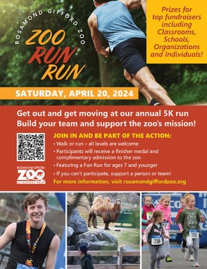 Download a Printable Zoo Run Run Flyer! 