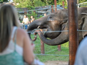Brew at the Zoo 2023