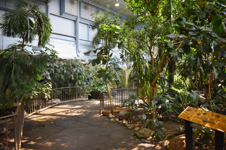 Indoor Exhibits