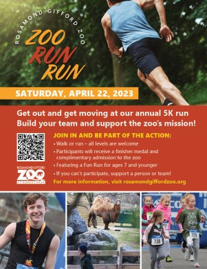 Download a Printable Zoo Run Run Flyer! 