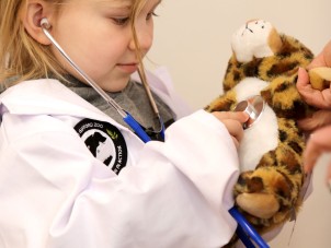 Junior Veterinary Clinic