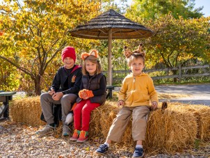 Zoo Boo 2022
