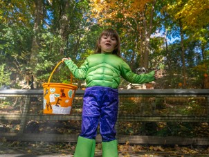 Zoo Boo