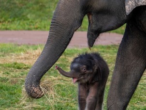 Happy Family by Patrick Lockley - November 2022 Third Place