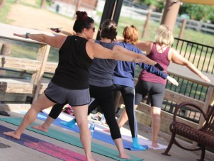 Yoga with the Elephants