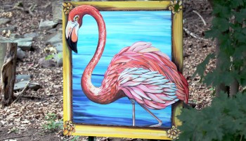 Syracuse Zoo RGZ FOTZ Arts Stroll Flamingo Ally Walker