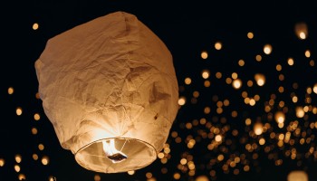 Syracuse Zoo RGZ Preservation Pointers Sky Lanterns Leon Contreras