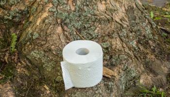 TP image v2