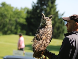 Tee Off FORE the Animals Golf Tournament 2022