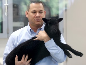 Animal Health Center Opening