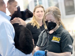 Animal Health Center Opening
