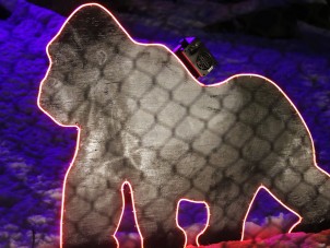 Holiday Nights 2022 - light display by PTECH